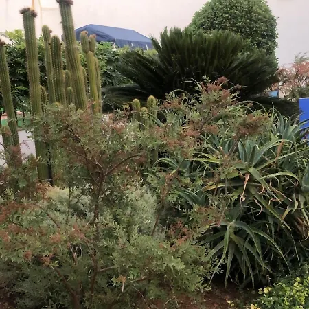 Hotel La Muralla Zafra