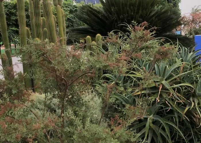 Отель La Muralla Сафра