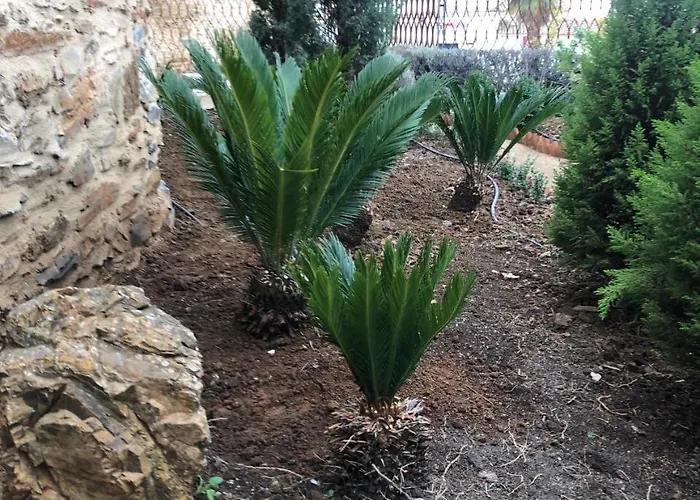 La Muralla Отель