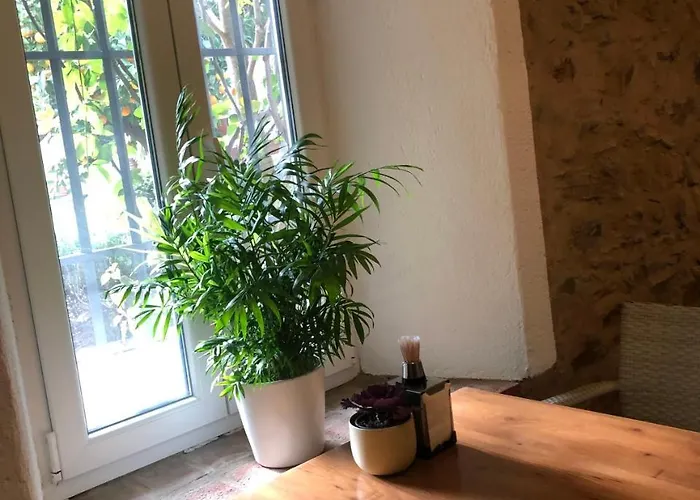 La Muralla Отель Сафра